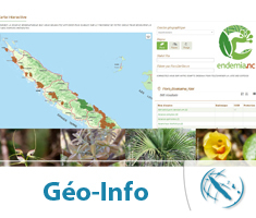Endemia : Une carte interactive des espèces